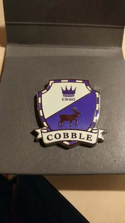 xVeenix - @Krs90: Też Cobble ( ͡° ͜ʖ ͡°)