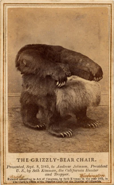 myrmekochoria - Fotel zrobiony z niedźwiedź grizli, USA 1865. Fotel był podarunkiem d...