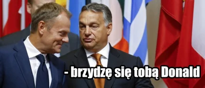 gzegzolka - No ja też się brzydzę. 
#europa #polska #wegry #imigranci #4konserwy