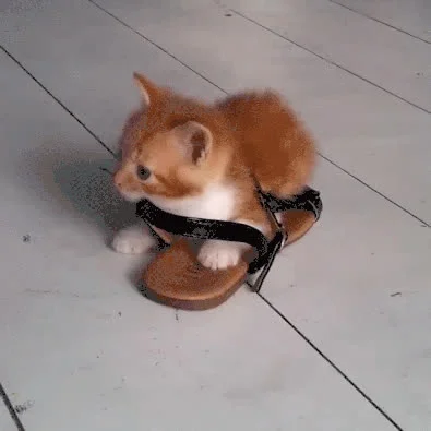 Koleandra - Mini kot w sandale