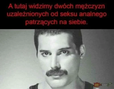 Penetrator_99 - #memy #queen #freddymercury