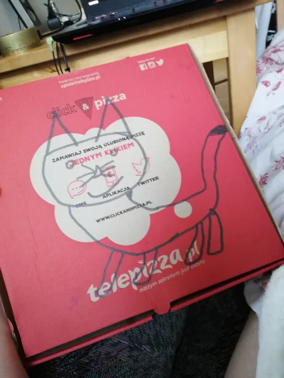 Mnogosc - Poprosiłam o narysowanie kota na pudełku i mam xD telepizza zrobiła mi dzie...