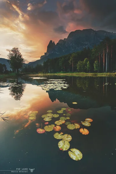 D.....k - #tapetydorka #dorkcars