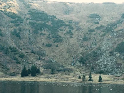 doskasowania - Mirki, rzuccie wszystko i jedzcie w BiesZczady. Polecam ten styl zycia...