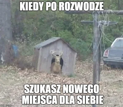 ZasilaczKomputerowy - #heheszki #rogacz #jelen #humorobrazkowy