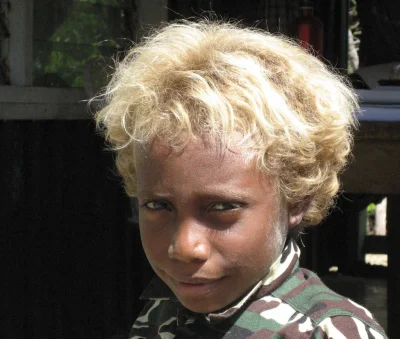 rasowecytaty - P.S.
Murzyn może być naturalnym blondynem.
Melanezyjczycy- czarnoskó...
