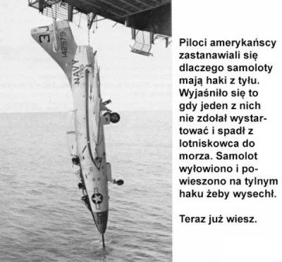 Fasol88 - ! #militaria | #samoloty | #lotnictwo | #heheszki | #humorobrazkowy