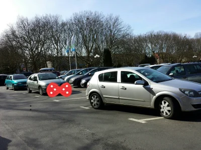 het-heret - A przed niedzielnym deptaniem krokusów parkuje się tak:
#mistrzowieparkow...