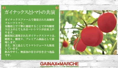 bastek66 - Gainax otwiera farmy pomidorów a w swoim oficjalnym sklepie sprzedaje pomi...