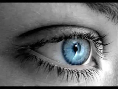 koszyn - @Ryzu17 
Limp Bizkit - Behind Blue Eyes