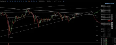 ppai - Ping-pong ping-pong od tej linii 乁(♥ ʖ̯♥)ㄏ #bitcoin