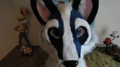 Wulfi - Jak są skonstruowane ruszające się oczy w fursuitach? 
SPOILER

#furry #fu...