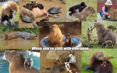 kicek3d - #zwierzaczki #smiesznypiesek #kapibara
