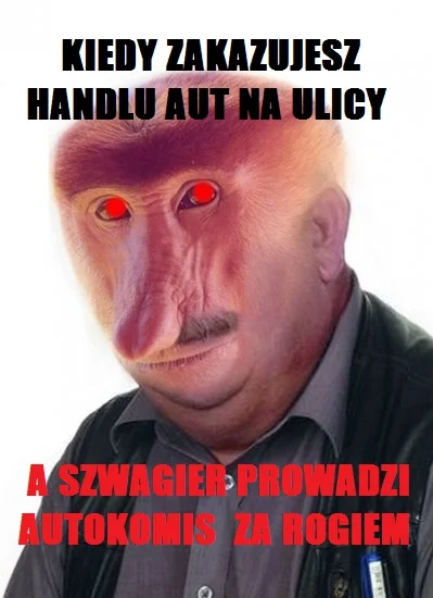 erlajn_akrual - Ten uczuć kiedy zakazujesz handlu aut na ulicy, a szwagier prowadzi a...