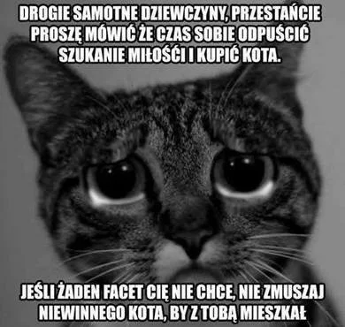 Siaa - @t3m4: A biedne kotki cierpią, prawda? Smuteczek... :< #biednekoty #humorobraz...
