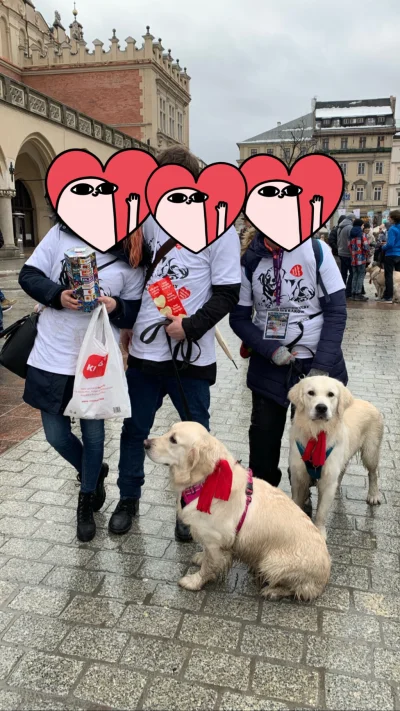 Vadzajna - @fundacjawosp: było łącznie z 30 golden retrieverow :) wspaniała grupa i t...