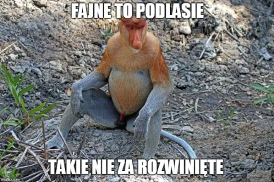 Badmanek - #heheszki #nosaczsundajski #podlasie #humorobrazkowy