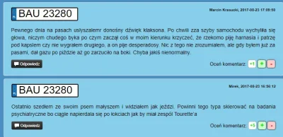 slepauliczka - kisne srogo, zachęcam do lekturki http://tablica-rejestracyjna.pl/BAU2...
