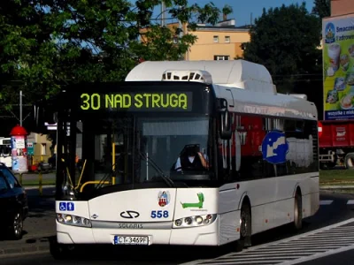 Eternitzazbestu - @juruneren: Ale Toruń ma malowanie tylko na tramwajach. Autobusy są...