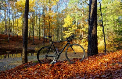 fixie - 97 204 - 117 = 97 087

Najpierw 74 km z ustawką treningową, huragan niesamo...