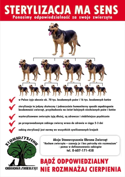 n.....a - @MoreDinero: wiesz, pies to nie tylko wygląd, ale i temperament. Powiem szc...