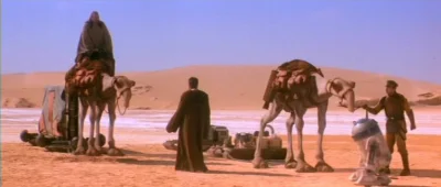 BielyVlk - Samice suhaka na planecie Tatooine.