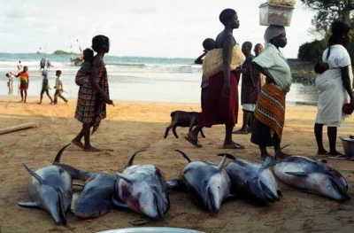 Dwadziescia_jeden - Analogowe zdjęcie z targu rybnego w Ghanie sprzed kilku lat. #wha...