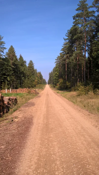 p.....n - tak było pierwszego października zeszłego roku, można było spokojnie wyjść ...