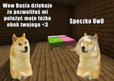 liskowskyy - <3
#piesel #memy #milosc #minecraft