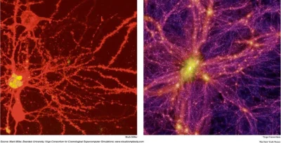 J.....J - @demos7enes: Układ nerwowy vs mega-struktury kosmosu