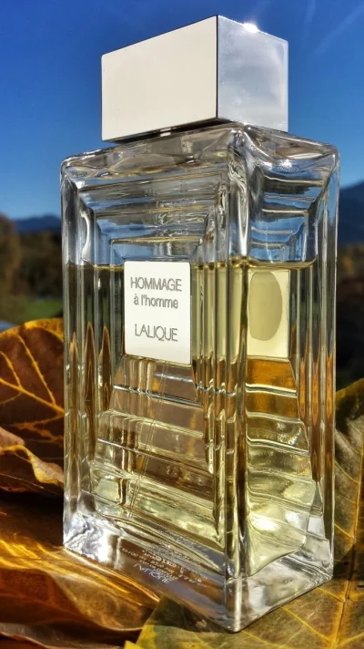 drlove - #150perfum #perfumy 73/150

Lalique Hommage à l'Homme (2011)

Są takie p...