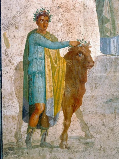 IMPERIUMROMANUM - ZŁOŻENIE BYKA W OFIERZE

Rzymski fresk ukazujący prowadzenie byka...