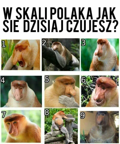 OlejekErotyczny - @Psychofan_Ikei ??