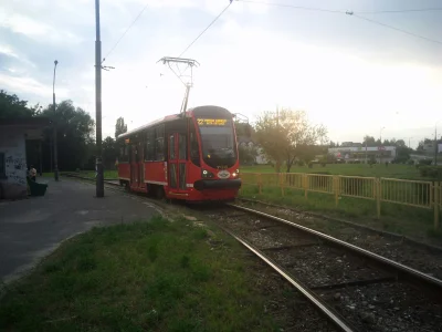 sylwke3100 - Tramwaj linii 22 czekający na swój czas odjazdu do Huty Katowice w Dąbro...