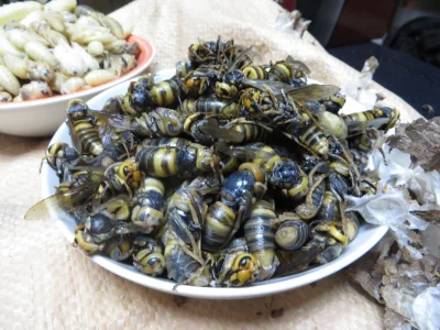 eeemil - Azjatyckie szerszenie są jadalne, podobno smakują jak dobra kiełbasa.