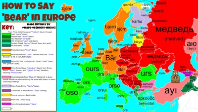 tojesttonajlepsze - Słowo 'niedźwiedź' w językach Europy kolorami zaznaczono wspólneg...