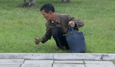 K.....k - Korea Północna wstydzi się swoich wegan ?