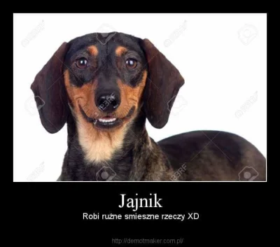 c.....3 - JA JN IK

#heheszki #humorobrazkowy #jajnik moze #hanuszki ale chyba nie ...