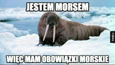 Azbestorro - #bekazprawakow #heheszki #humorobrazkowy #humor