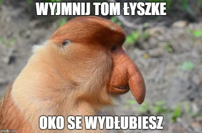 muchabzz - #meme #heheszki #humorobrazkowy #nosaczsundajski