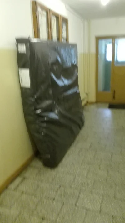 Khaleesi - Niebieski w pracy, a mi kurier przynosił "paczuszke" 2x2m, 30 kg materac.....