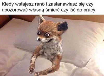 krzynek - so true ( ͡° ͜ʖ ͡°)
#heheszki #humorobrazkowy #pracbaza