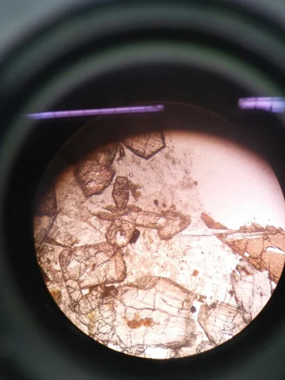 Pelelka - Taki benis się objawił w mikroskopie 
#geologia #mineraly