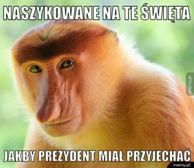 generatorniczego - #nosacz #nosaczsundajski #polak #humorobrazkowy