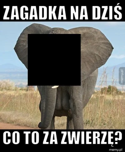 BADWOLFPOL - Myślę że wonsz ale nie jestem pewien 

#memy #humorobrazkowy #heheszki