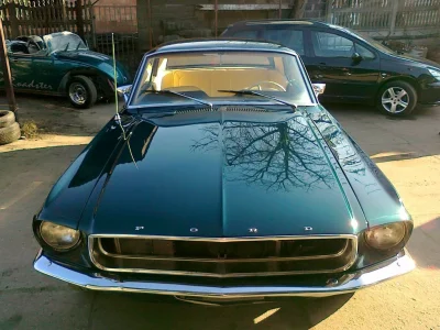 F.....y - Ziomeczki z mojego miasta, kupili Mustanga z 67 w stanie krytycznym, za 30k...
