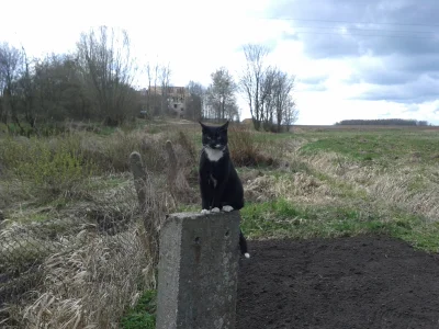 radmen2 - Lucjan obserwuje jak idzie leczenie Felicji ;)