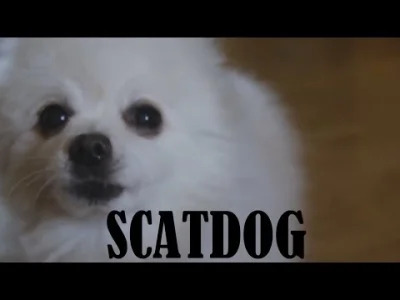 Ingvarr100th - Scatdog
#gabethedog #muzyka