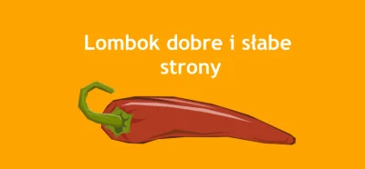 mateuszd - Hej, mam dla was nowy wpis z mojego bloga: Lombok dobre i słabe strony

...