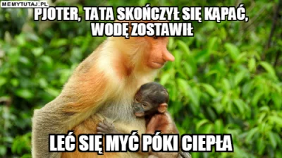 K.....n - #nosaczsundajski #nosacz #nosacze #janusze #polskiedomy #heheszki #humorobr...